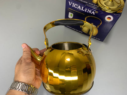 DUBAIZONES™ VICALINA® Germany Technology Golden and Silver Stainless Steel Stylish Tea Kettles