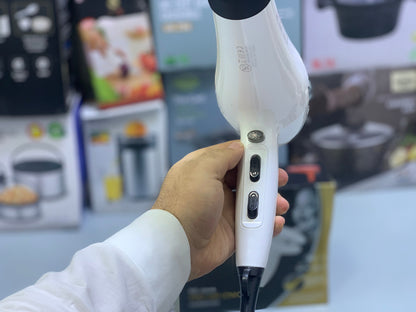 ReiminoGtoN Hairdryer