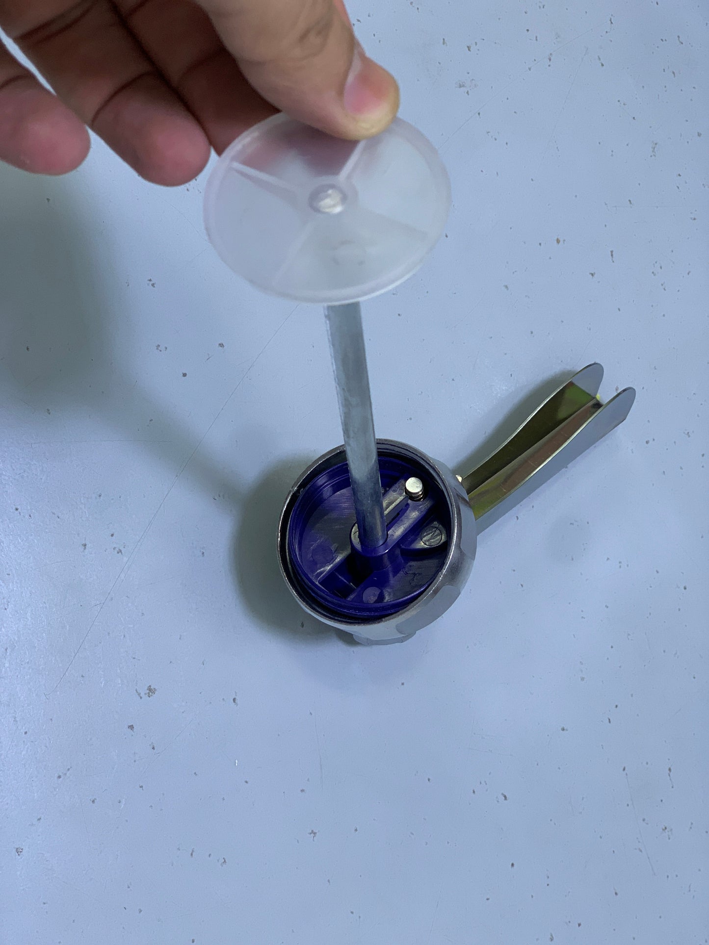 Biscuits Sancha with 10 Shapes